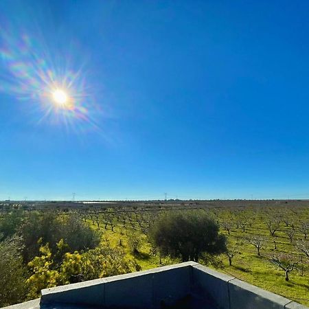 Masseria Elefante トゥーリ エクステリア 写真