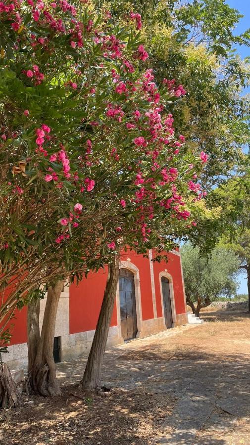 Masseria Elefante トゥーリ エクステリア 写真