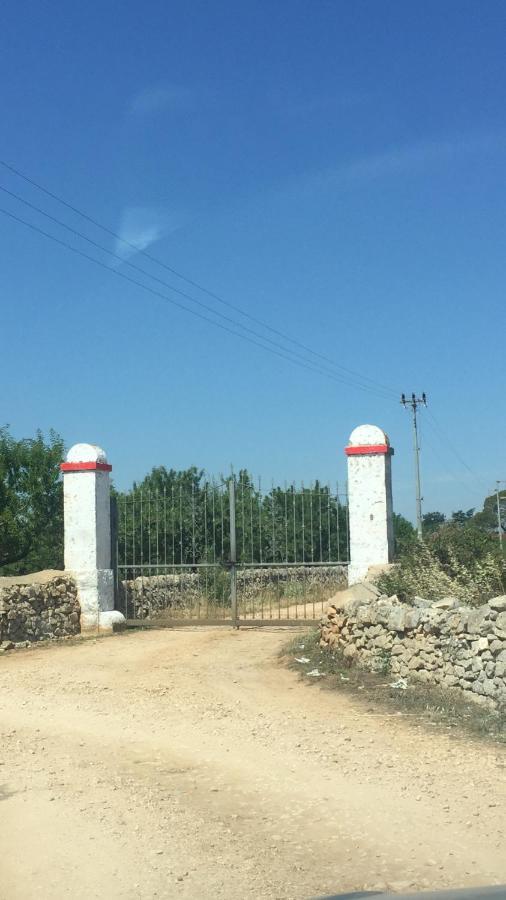 Masseria Elefante トゥーリ エクステリア 写真